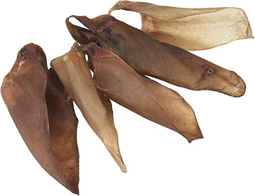 Oreille de bœuf 10pc - Com'in Dog
