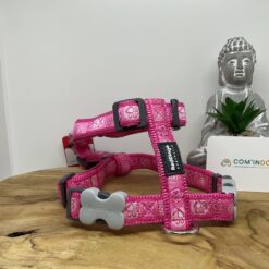 Red dingo harnais rose l