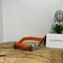 Red dingo collier 24 à 36cm orange