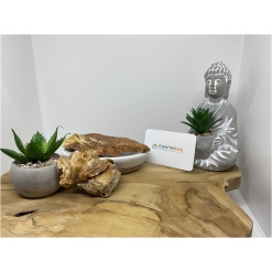 Poitrine de poulet   100 gr