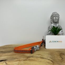 Red dingo collier 20 à 32cm orange