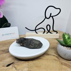 Autruche: estomac 100gr