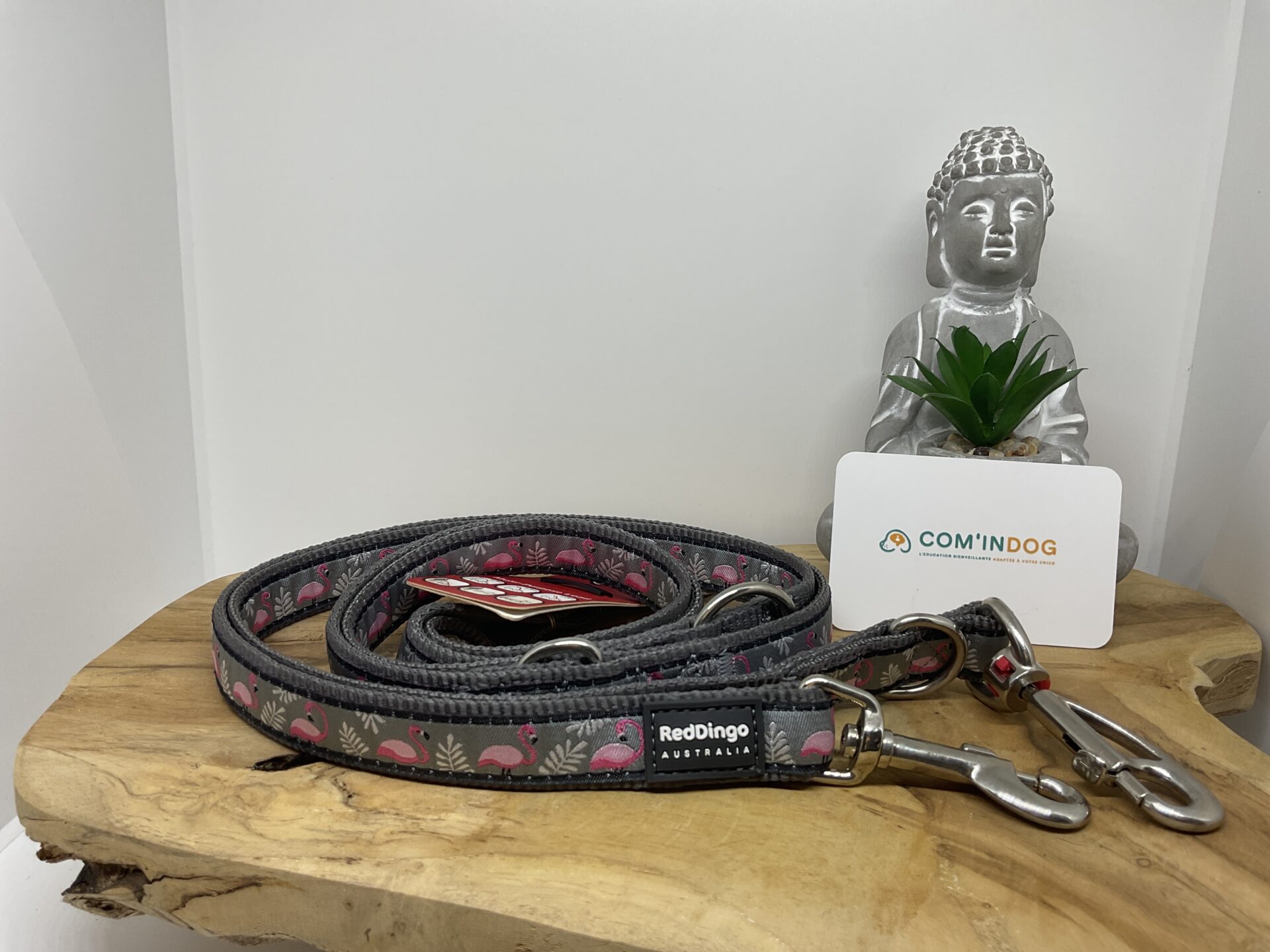 Red dingo laisse 3points gris flamands roses Red dingo laisse 3points gris flamands roses