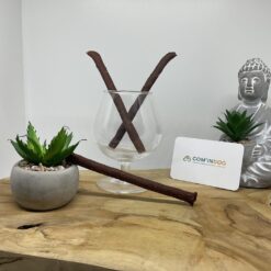 Bœuf sticks 100% viande 100 gr