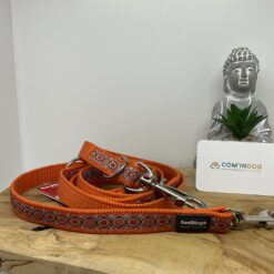 Red dingo laisse 3points orange