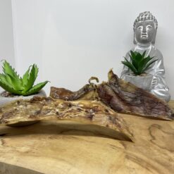 Autruche : tendons 100 gr