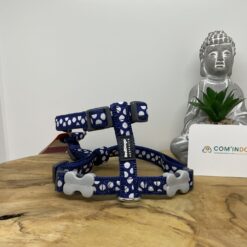 Red dingo harnais chiots ou petits chiens. bleu marine m