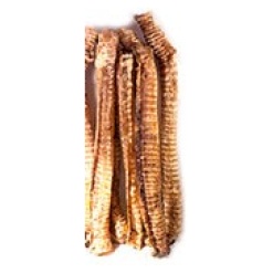 Bœuf:  trachée xl 3 pièces