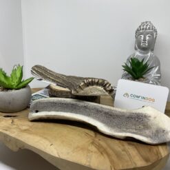 Bois de cerf tranché l