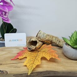 Boeuf: trachées courtes 500 gr