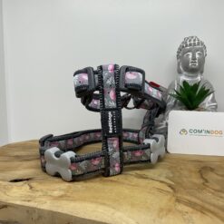 Red dingo harnais chiots ou petits chiens gris flamands roses l