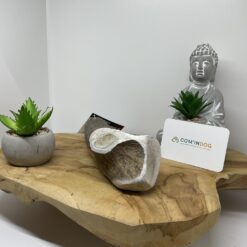 Bois de cerf entier xxl