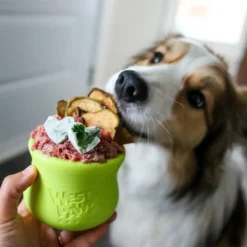 West paw toppl evergreen xl