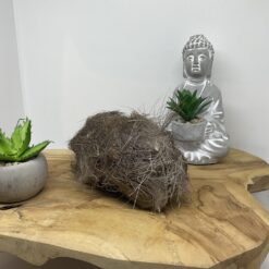 Cerf: peau avec poils 250 gr