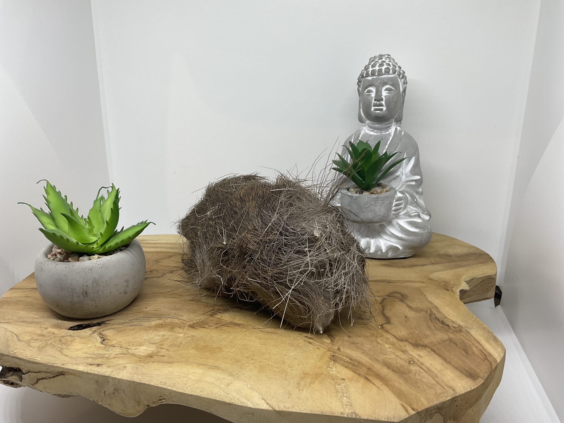 Cerf: peau avec poils 250 gr Cerf: peau avec poils 250 gr