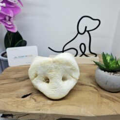 Porc: groin soufflé à la pièce