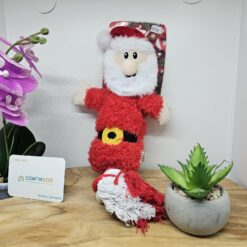 Afp happy holidays père noël tug