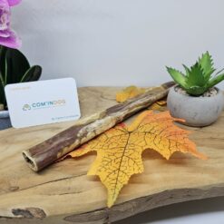 Bœuf: œsophage 30cm 1pc