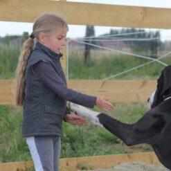 Atelier enfants "mieux comprendre son chien" - 3-5 ans