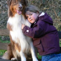 Mieux comprendre son chien - 3-5 ans