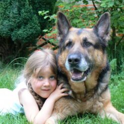 Atelier enfants "mieux comprendre son chien" - 3-5 ans